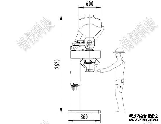 定量污榴莲视频在线观看